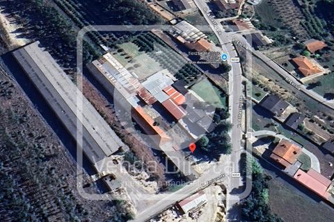 Erhvervsejendom i Anadia, Aveiro, Anadia - € 192.000 | Ref: VD-2603075/W1/DD - foto 18
