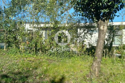 Byhus i Lousada, Porto, Lousada - € 750.000 | Ref: 243-M-00808 - foto 24