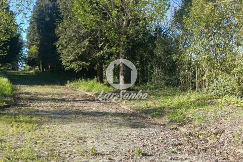 Byhus i Lousada, Porto, Lousada - € 750.000 | Ref: 243-M-00808 - foto 26