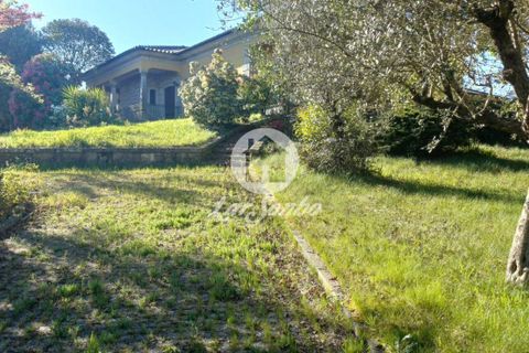 Byhus i Lousada, Porto, Lousada - € 750.000 | Ref: 243-M-00808 - foto 32