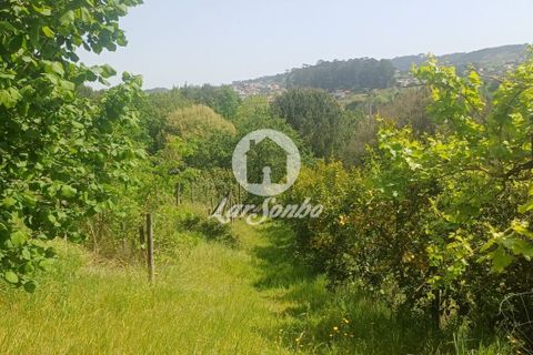 Byhus i Lousada, Porto, Lousada - € 750.000 | Ref: 243-M-00808 - foto 39