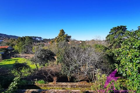 Villa i Caminha, Viana do Castelo, Caminha - € 460.000 | Ref: 119/2026 - foto 4
