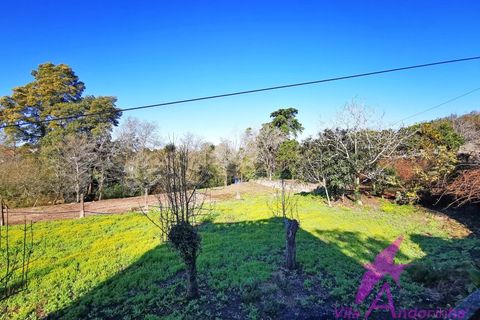 Villa i Caminha, Viana do Castelo, Caminha - € 460.000 | Ref: 119/2026 - foto 26
