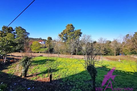 Villa i Caminha, Viana do Castelo, Caminha - € 460.000 | Ref: 119/2026 - foto 27