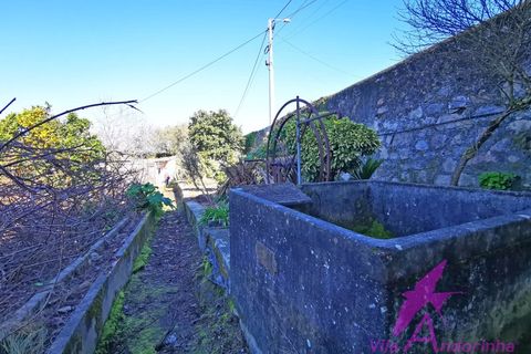 Villa i Caminha, Viana do Castelo, Caminha - € 460.000 | Ref: 119/2026 - foto 28