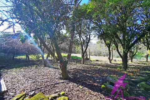 Villa i Caminha, Viana do Castelo, Caminha - € 460.000 | Ref: 119/2026 - foto 29