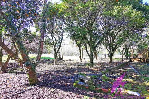 Villa i Caminha, Viana do Castelo, Caminha - € 460.000 | Ref: 119/2026 - foto 30