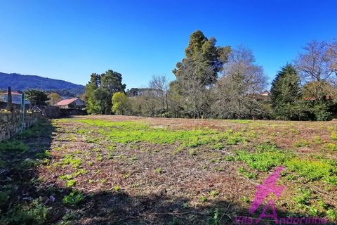 Villa i Caminha, Viana do Castelo, Caminha - € 460.000 | Ref: 119/2026 - foto 31