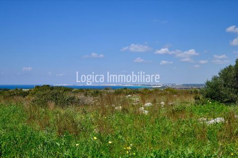 Villa i Gallipoli, Lecce, Gallipoli - € 295.000 | Ref: VL397 - foto 2