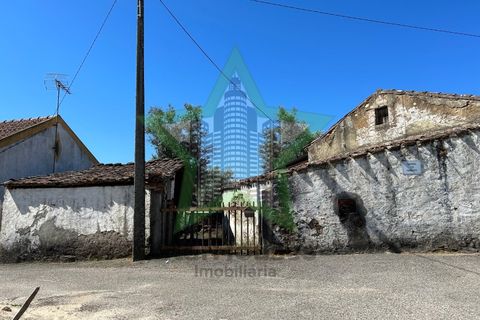 Bungalou a Sardoal, Santarem, Sardoal - € 35.000 | Ref: STAR_143 - foto 5