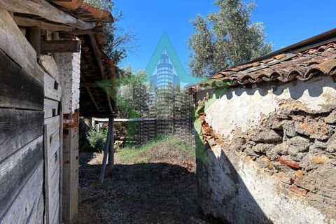 Bungalou a Sardoal, Santarem, Sardoal - € 35.000 | Ref: STAR_143 - foto 6