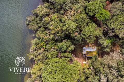 Terra a Rome, Rome, Rome - € 390.000 | Ref: 403 - foto 4
