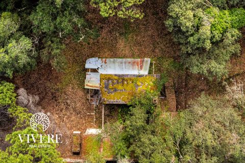 Terra a Rome, Rome, Rome - € 390.000 | Ref: 403 - foto 5