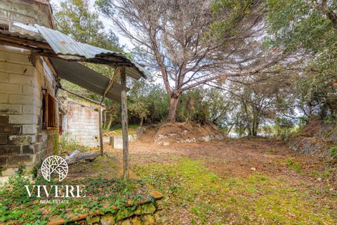 Terra a Rome, Rome, Rome - € 390.000 | Ref: 403 - foto 6