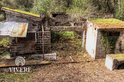 Terra a Rome, Rome, Rome - € 390.000 | Ref: 403 - foto 7