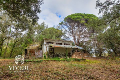 Terra a Rome, Rome, Rome - € 390.000 | Ref: 403 - foto 10