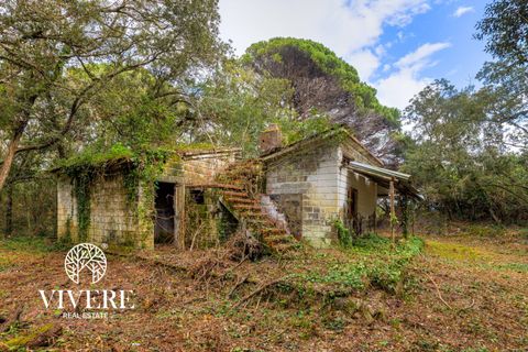 Terra a Rome, Rome, Rome - € 390.000 | Ref: 403 - foto 11