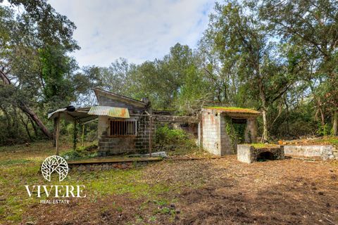 Terra a Rome, Rome, Rome - € 390.000 | Ref: 403 - foto 12