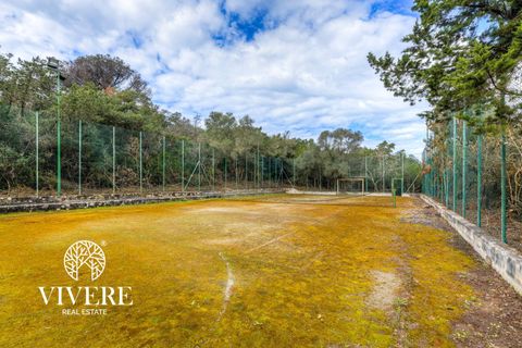 Terra a Rome, Rome, Rome - € 390.000 | Ref: 403 - foto 15