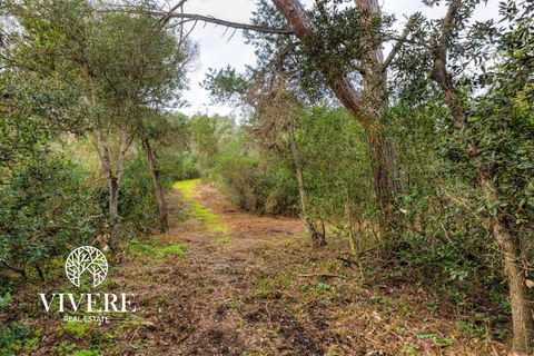 Terra a Rome, Rome, Rome - € 390.000 | Ref: 403 - foto 17