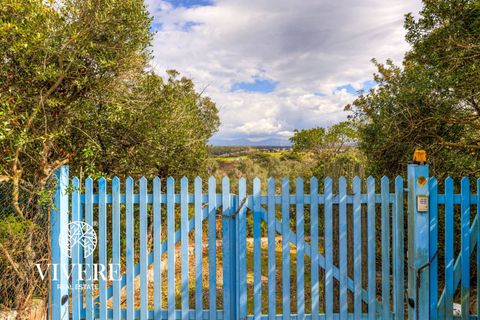 Terra a Rome, Rome, Rome - € 390.000 | Ref: 403 - foto 18