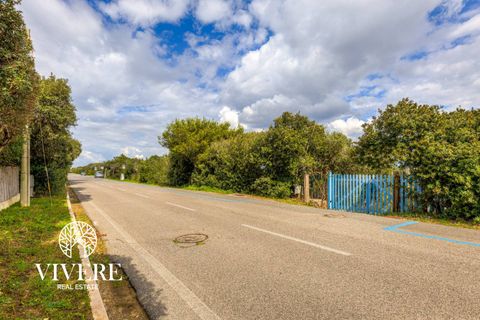 Terra a Rome, Rome, Rome - € 390.000 | Ref: 403 - foto 19