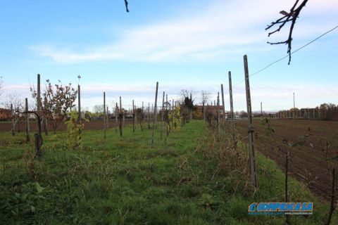 Villa i Borgo Veneto, Padua, Borgo Veneto - € 239.000 | Ref: B30M - foto 17