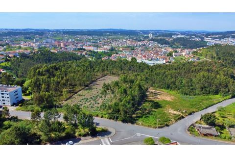 Helårsgrund i Valongo, Porto, Valongo - € 650.000 | Ref: RO2826 - foto 16