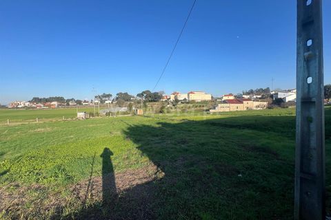 Helårsgrund i Barcelos, Braga, Barcelos - € 180.000 | Ref: 254250325 - foto 8