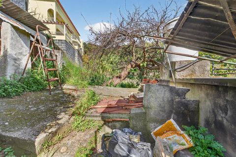 Villa i Ponta do Sol, Madeira, Ponta do Sol - € 200.000 | Ref: 081260046 - foto 26
