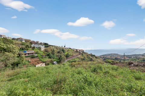 Villa i Ponta do Sol, Madeira, Ponta do Sol - € 200.000 | Ref: 081260046 - foto 30