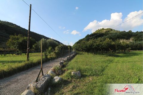Terra a Verona, Verona, Verona - € 105.000 | Ref: AG520 - foto 2