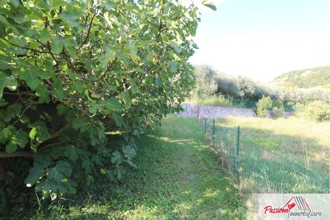Terra a Verona, Verona, Verona - € 105.000 | Ref: AG520 - foto 3