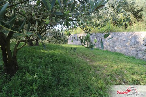 Terra a Verona, Verona, Verona - € 105.000 | Ref: AG520 - foto 4