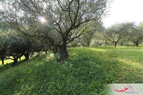 Terra a Verona, Verona, Verona - € 105.000 | Ref: AG520 - foto 5