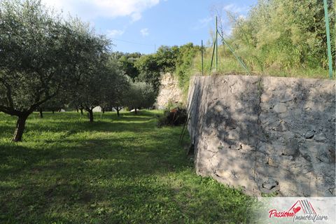 Terra a Verona, Verona, Verona - € 105.000 | Ref: AG520 - foto 6