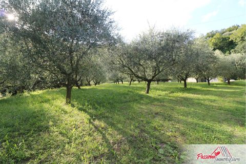 Terra a Verona, Verona, Verona - € 105.000 | Ref: AG520 - foto 7