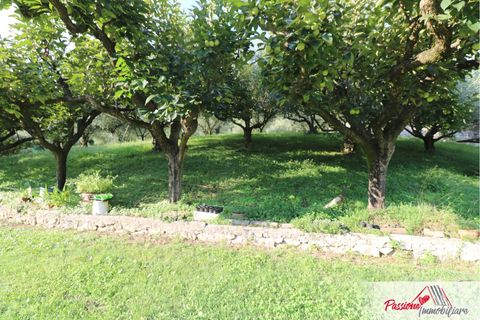 Terra a Verona, Verona, Verona - € 105.000 | Ref: AG520 - foto 8