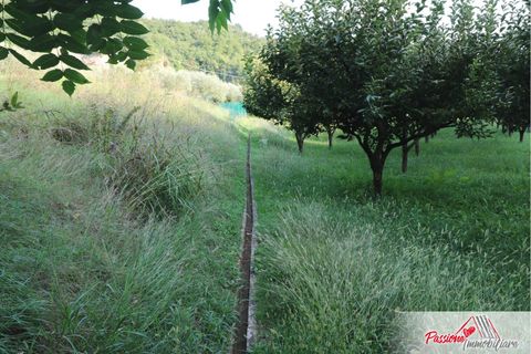 Terra a Verona, Verona, Verona - € 105.000 | Ref: AG520 - foto 9