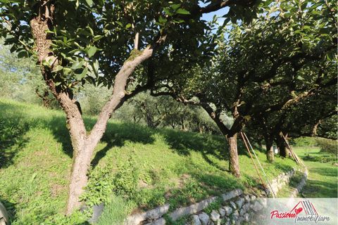 Terra a Verona, Verona, Verona - € 105.000 | Ref: AG520 - foto 10