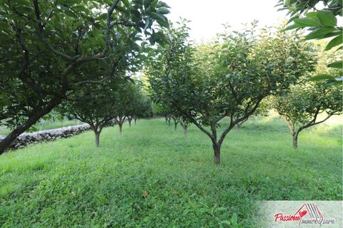 Terra a Verona, Verona, Verona - € 105.000 | Ref: AG520 - foto 11