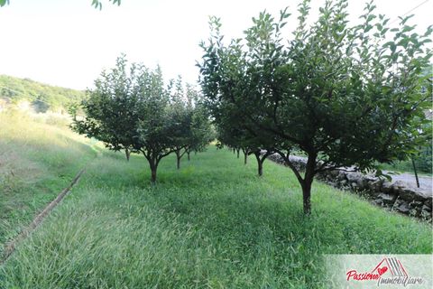 Terra a Verona, Verona, Verona - € 105.000 | Ref: AG520 - foto 12