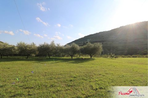 Terra a Verona, Verona, Verona - € 105.000 | Ref: AG520 - foto 13