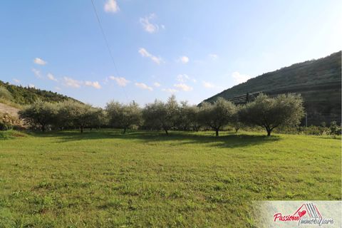 Terra a Verona, Verona, Verona - € 105.000 | Ref: AG520 - foto 14