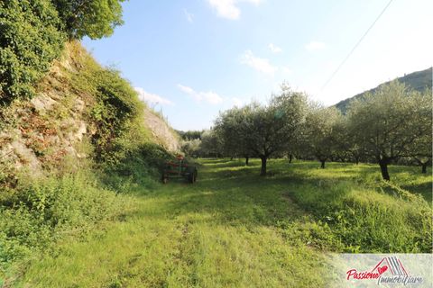 Terra a Verona, Verona, Verona - € 105.000 | Ref: AG520 - foto 16