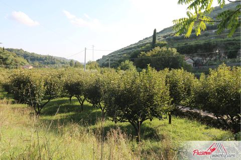 Terra a Verona, Verona, Verona - € 105.000 | Ref: AG520 - foto 18