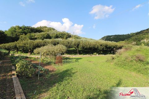 Terra a Verona, Verona, Verona - € 105.000 | Ref: AG520 - foto 20