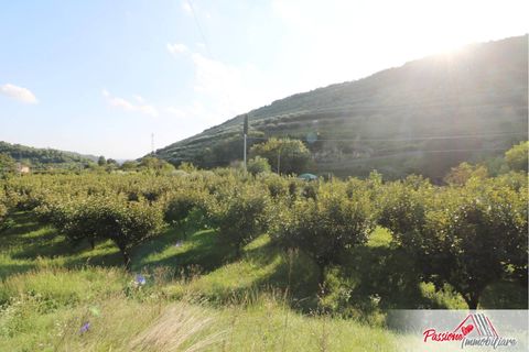 Terra a Verona, Verona, Verona - € 105.000 | Ref: AG520 - foto 23