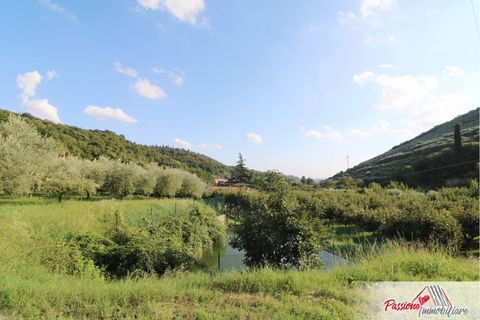 Terra a Verona, Verona, Verona - € 105.000 | Ref: AG520 - foto 24