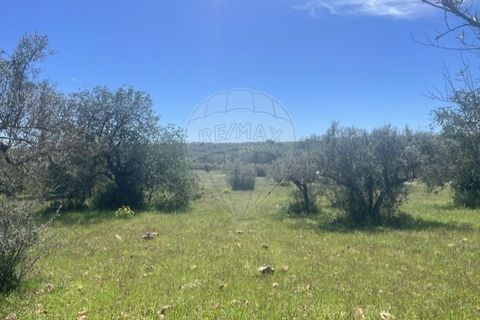 Helårsgrund i Silves, Faro, Silves - € 210.000 | Ref: 122001074-156 - foto 4